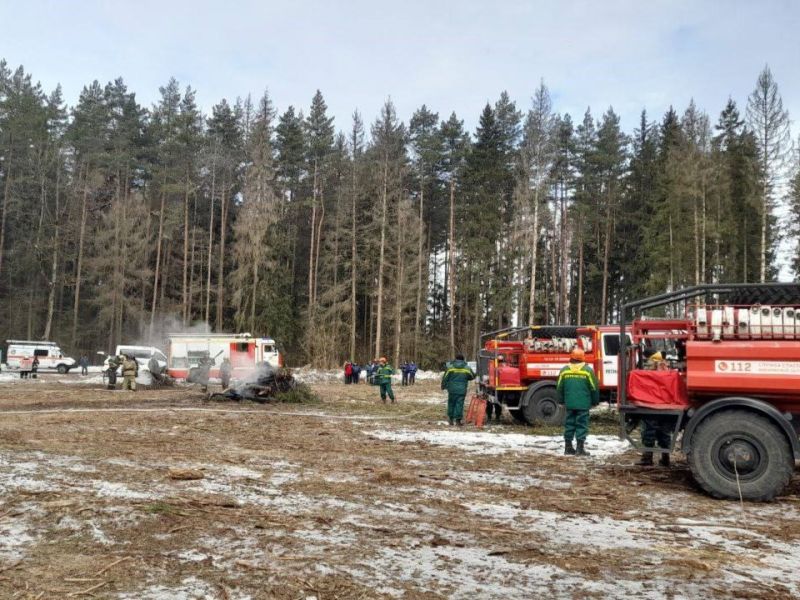 Что грозит за разведение огня в лесах, напомнили ореховозуевцам Новости Орехово-Зуево 