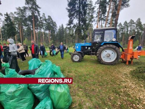 На субботнике в Орехово-Зуеве очистили от мусора несколько гектаров леса Новости Орехово-Зуево 