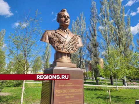 В Парке Победы создают Аллею Славы Новости Орехово-Зуево 